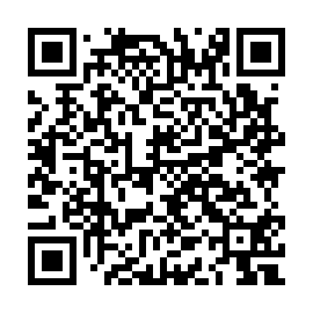 QR code for LAY110