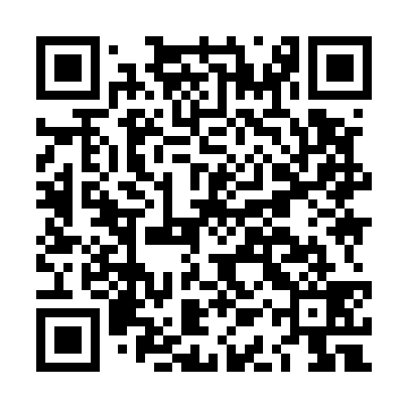 QR code for LAY539