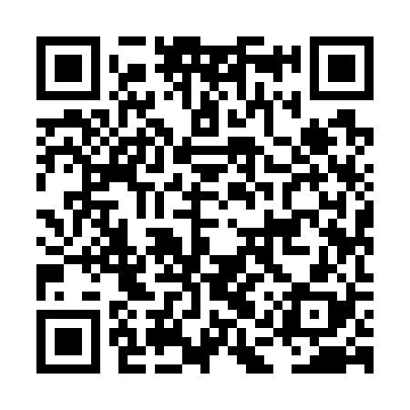 QR code for LAY728