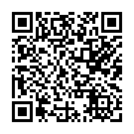QR code for LAZ991