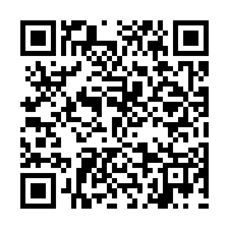 QR code for LBD307