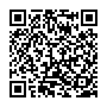 QR code for LBG228