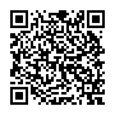 QR code for LBQ295