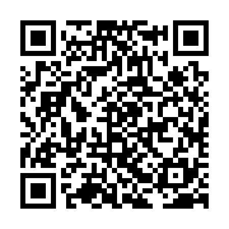 QR code for LBR335