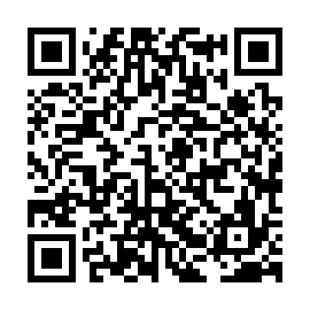 QR code for LBX336
