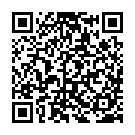 QR code for LBX385