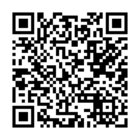 QR code for LCA919