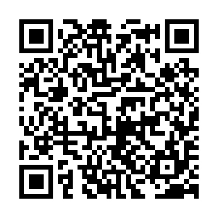 QR code for LCG294