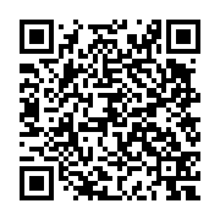QR code for LCG433
