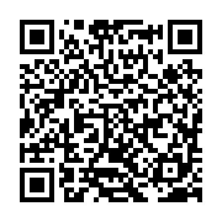 QR code for LCZ295