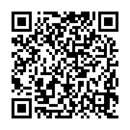 QR code for LDB993