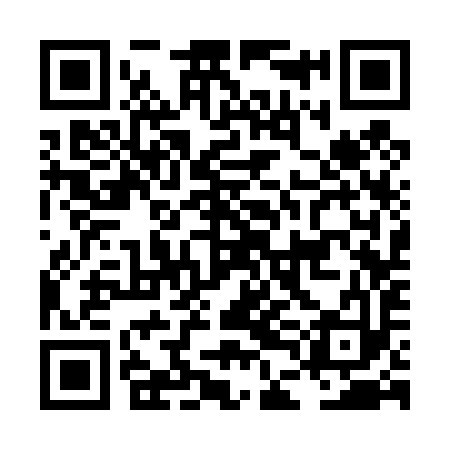 QR code for LDC493