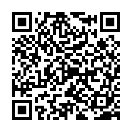 QR code for LDG161
