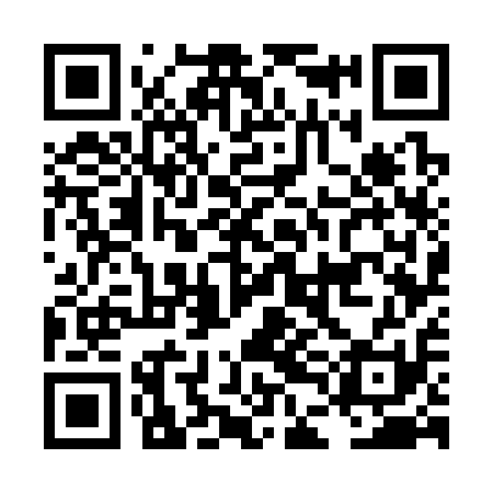 QR code for LDG311