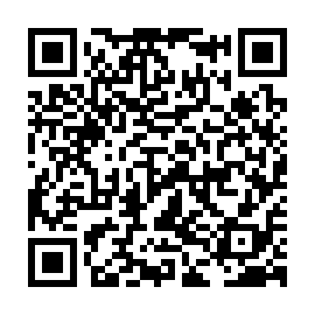 QR code for LDG318