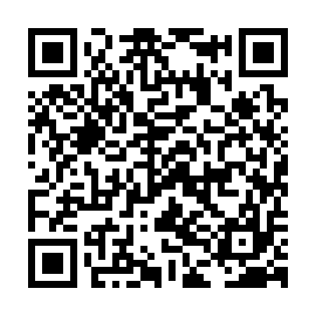 QR code for LDI317