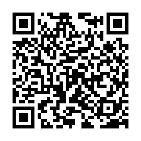 QR code for LDI338
