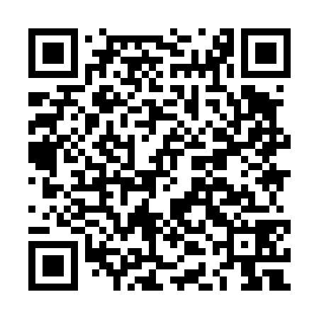 QR code for LDI478