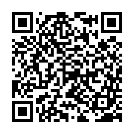 QR code for LDI543