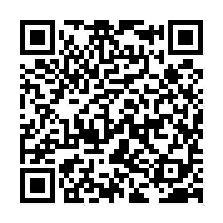 QR code for LDI599
