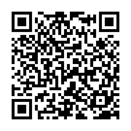 QR code for LDI875
