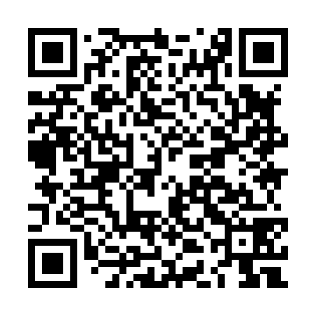 QR code for LDI878