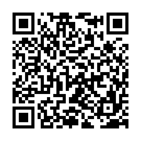 QR code for LDI916