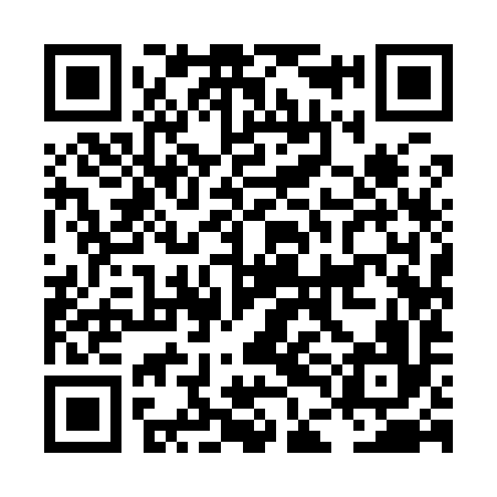 QR code for LDI996