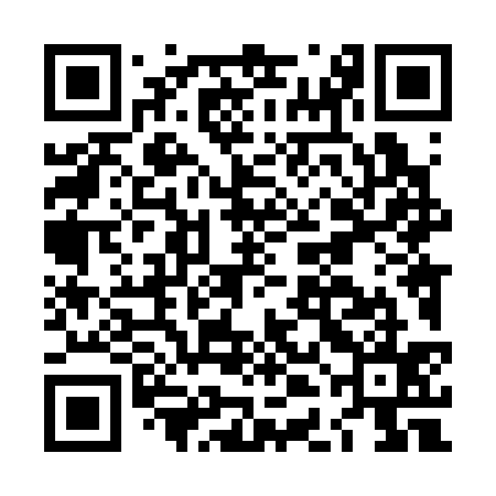 QR code for LDL335