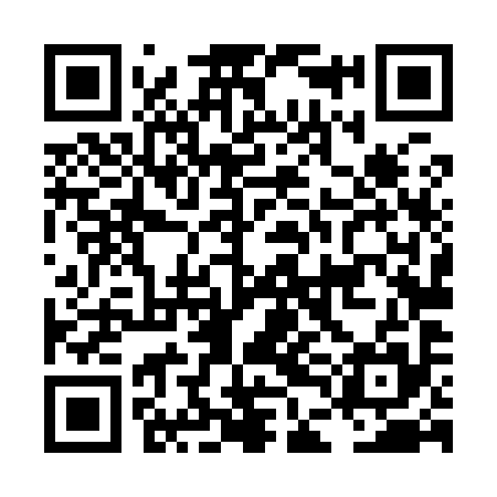 QR code for LDL995