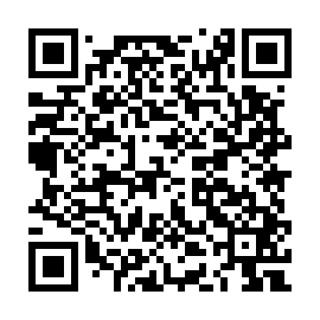 QR code for LDM541