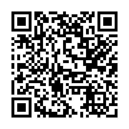 QR code for LDR381