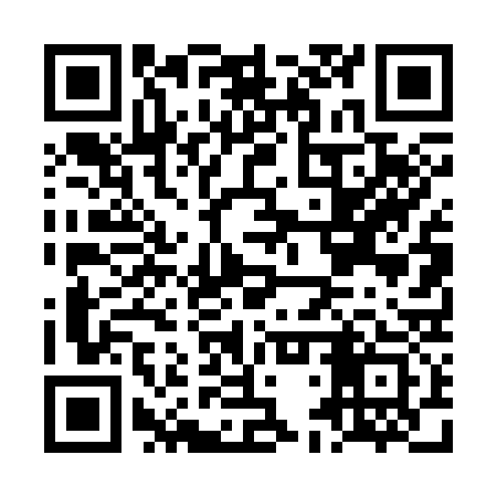 QR code for LDT333