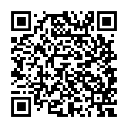 QR code for LDV197