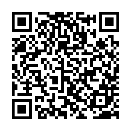 QR code for LDV382