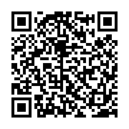 QR code for LDV433