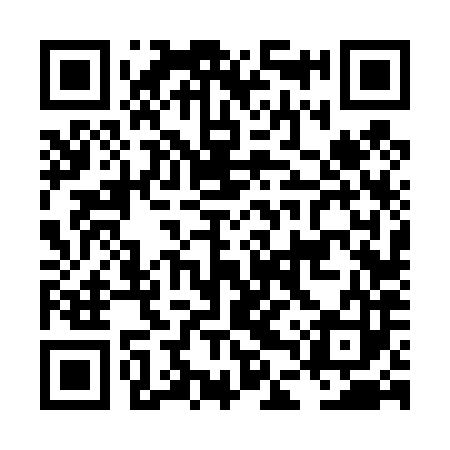 QR code for LDV483