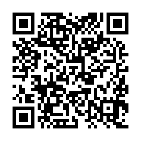 QR code for LDV995