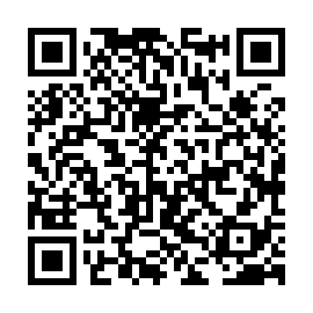 QR code for LDX938