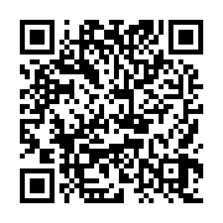 QR code for LDX968