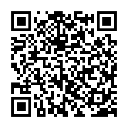 QR code for LDZ331