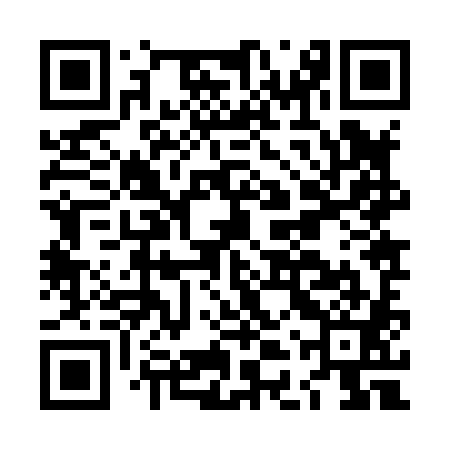 QR code for LDZ881