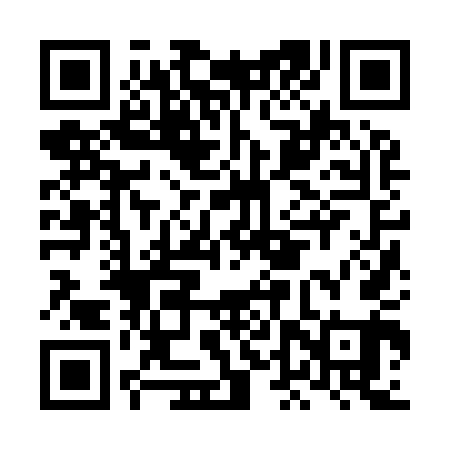 QR code for LDZ941
