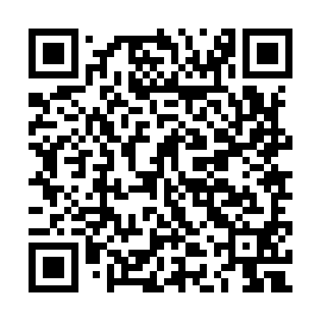 QR code for LDZ990