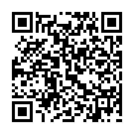 QR code for LEA313