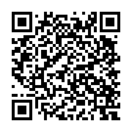 QR code for LEE447