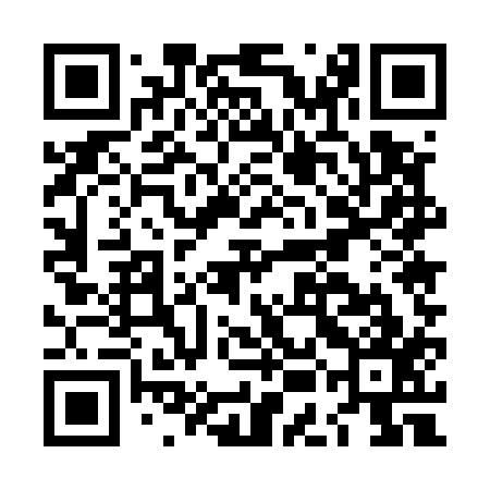 QR code for LEE517