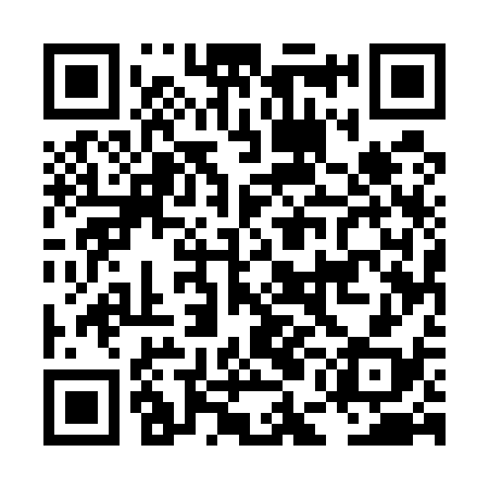 QR code for LEE538