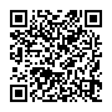 QR code for LEI133