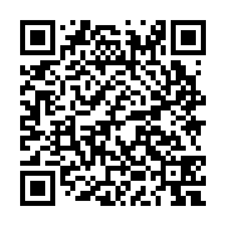 QR code for LEI338